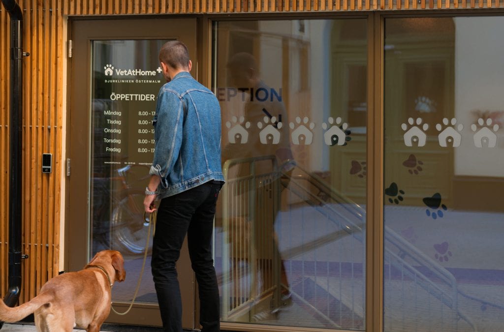 Flexibel husdjurssjukvård hemma för hund och katt, besök av veterinär från VetAtHome i Östermalm.