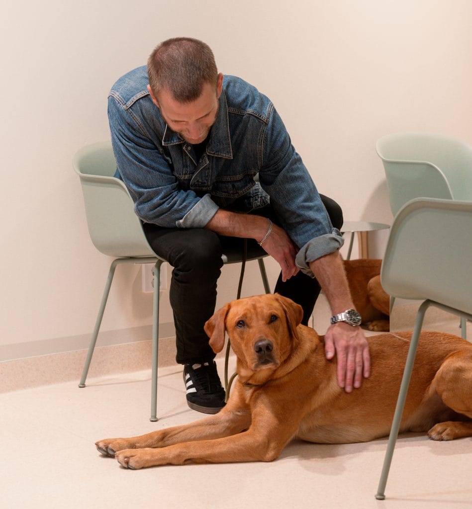 - Hund hos veterinär, avkänning, hälsa, vård, checkup.