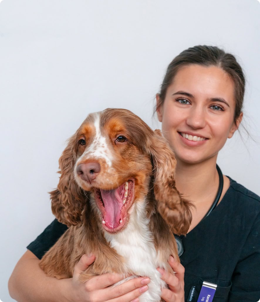 Veterinär undersöker husdjur hemma - VetAtHome hembesök